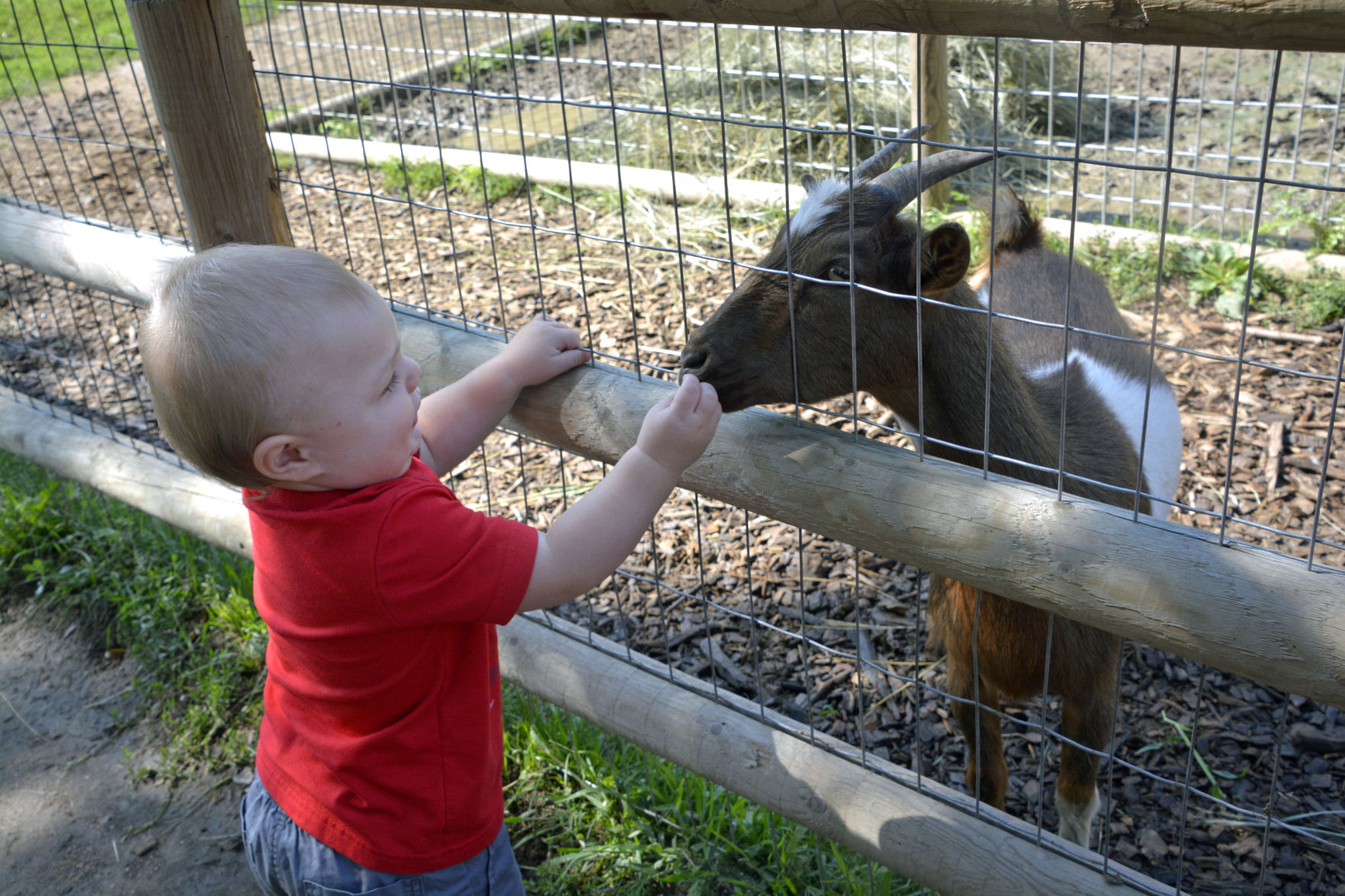 Feeding time